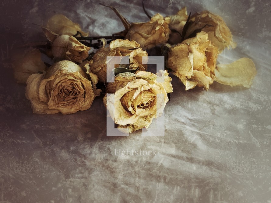 dried roses with a distressed surface effect
