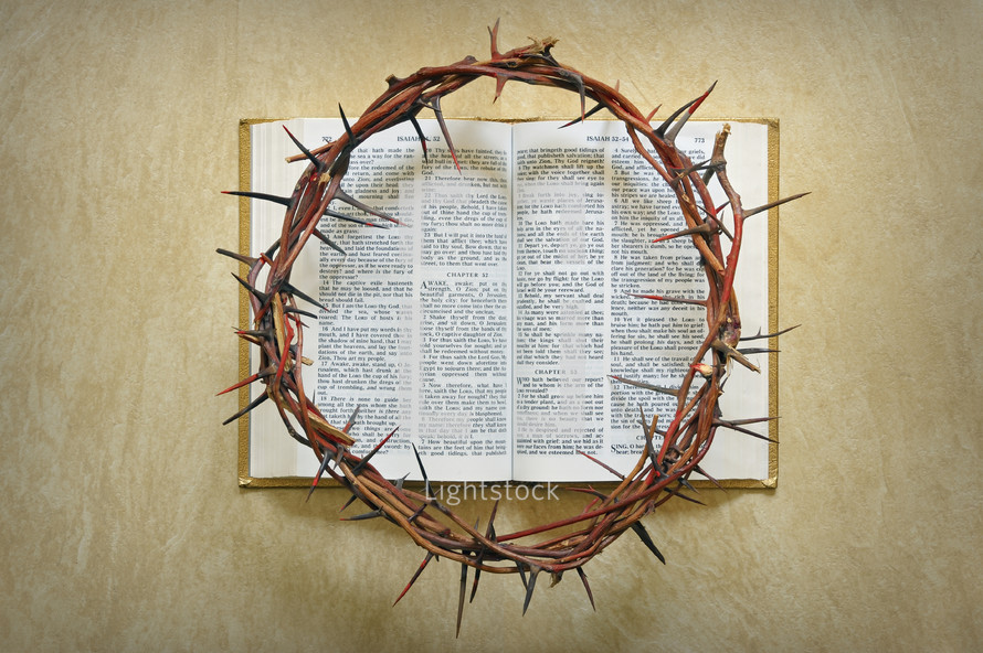 crown of thorns on the pages of a Bible 