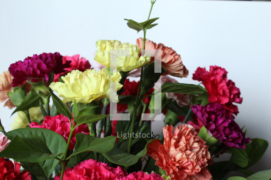 bouquet of carnations 