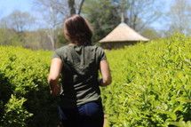 a girl walking outdoors through blueberry bushes