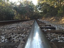 train tracks in a forest 