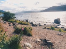 shoreline in Scotland 