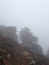 fog over a mountain side