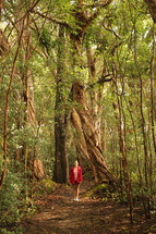a woman standing on a trail in a tropical forest 