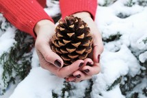 cupped hands holding a pine cone 