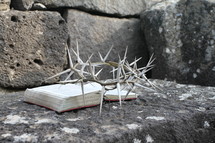 Crown of thorns with a Bible on a rock ledge.