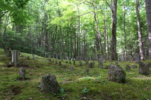 An old cemetery in a forest.