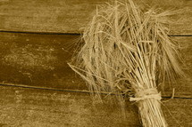 Bundle of wheat on wooden table
