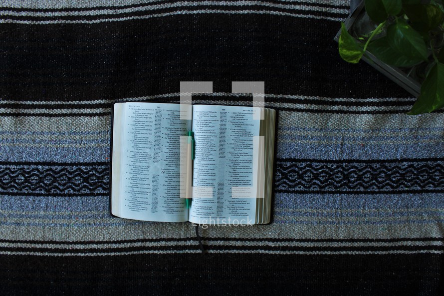 pen lying on the pages of a Bible 