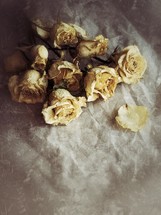 dried roses with a vintage, distressed effect