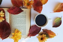 sunflowers and fall leaves on the pages on a book 