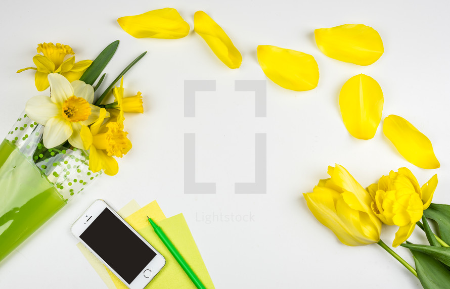 yellow flower border, iPhone, pen, paper, petals, flowers, border, daffodils, white background, spring 