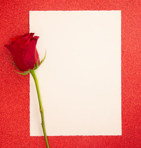 red rose and blank paper 