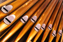 Organ pipes 