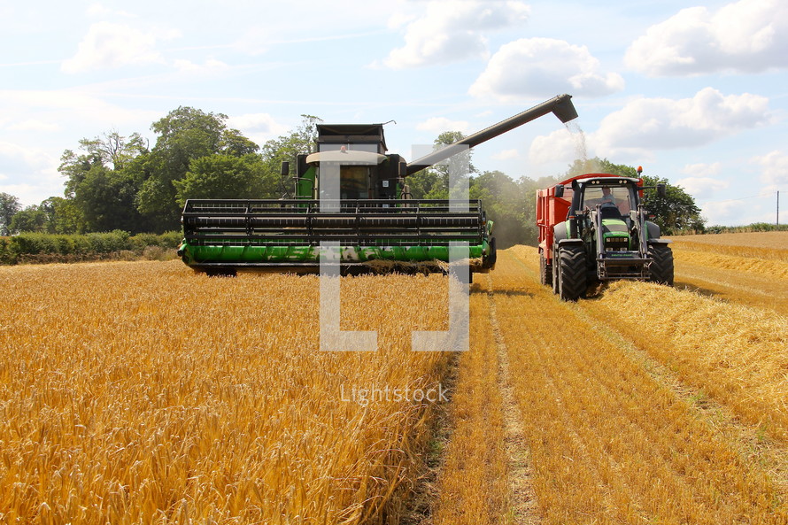 Combine and tractor harvesting a field of wheat 