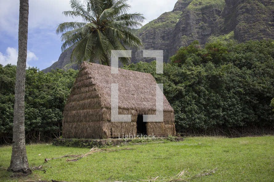 straw hut in Hawaii 
