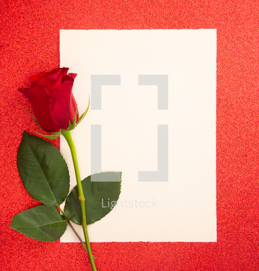 red rose and blank paper 