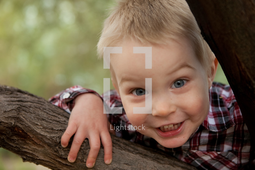 boy toddler peeking through a tree 