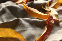 fall leaves on a blanket 