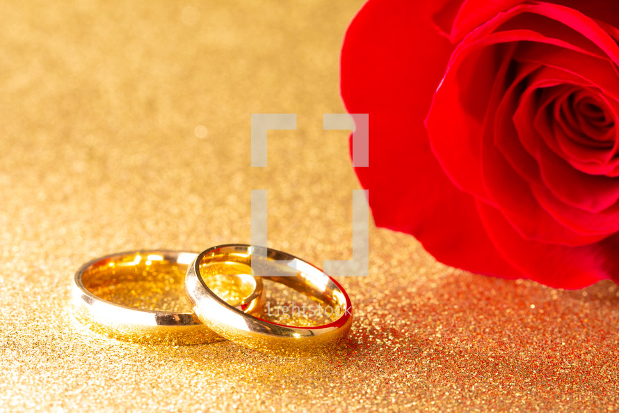 red rose and wedding rings 