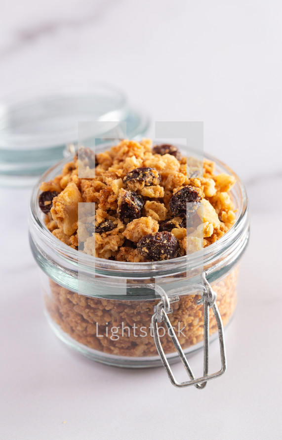 Grain Free Granola made of Coconut and Dried Fruit Perfect for a Paleo Diet