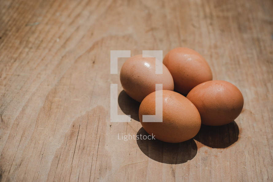 brown eggs 