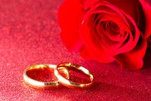 red rose and wedding rings 