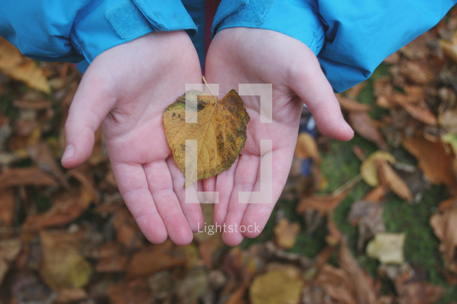 kid holding a fall leaf 