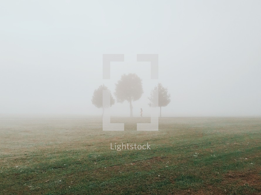 man standing under a tree in at the fog 