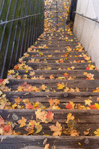 Autumn leaves on wooden steps