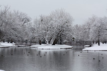 snow on the shore of a pond 