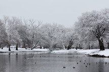snow on the shore of a pond
