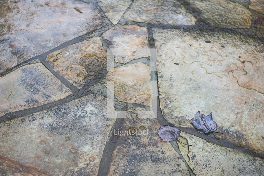 leaves on stone pavers 