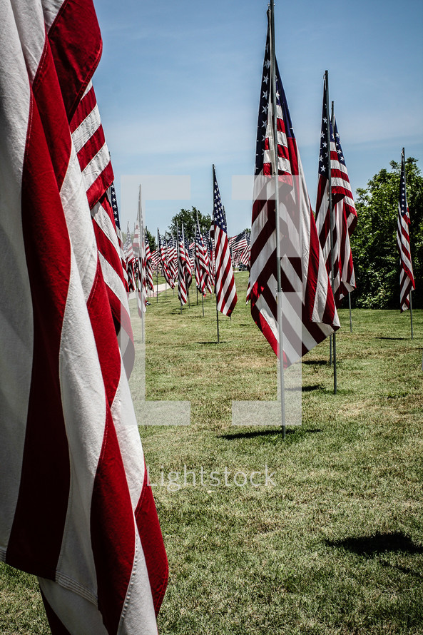 American Flags on Memorial Day