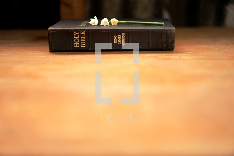 flower on a Bible 