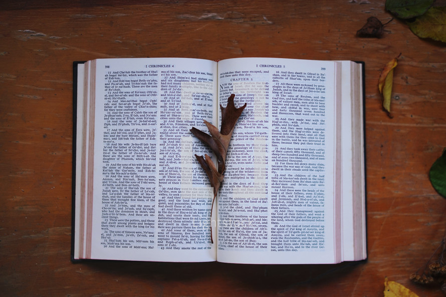 fall leaves on an open Bible