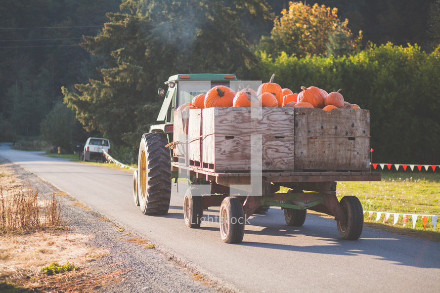 a tractor and wagon of pumpkins 
