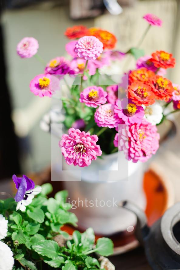 flowers in a metal pitcher 