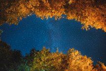 Autumn colors and Milky Way galaxy in the night forest
