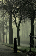 path in a foggy park 