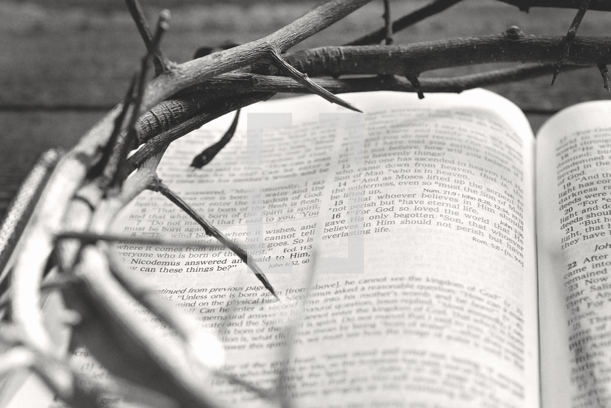 crown of thorns on an open Bible 