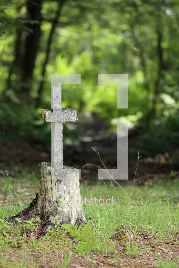 cross carved into a tree trunk 