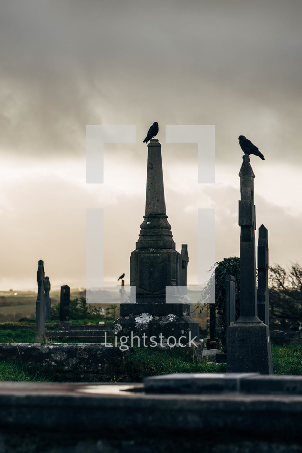 Old Cemetery in Ireland with Celtic Cross Gravestones and Birds Perched