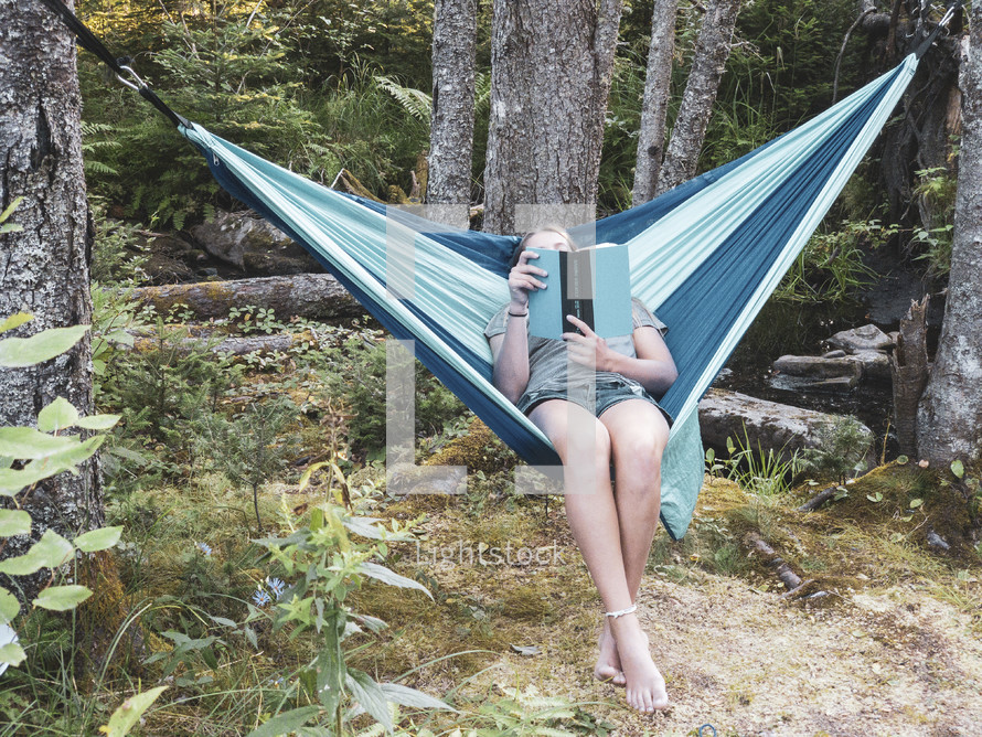 hammocks in a forest 