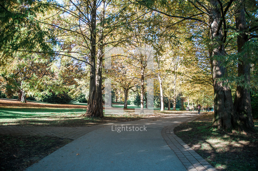 path in a park in fall 