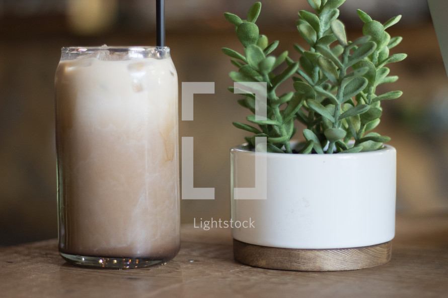 iced coffee and potted plant 