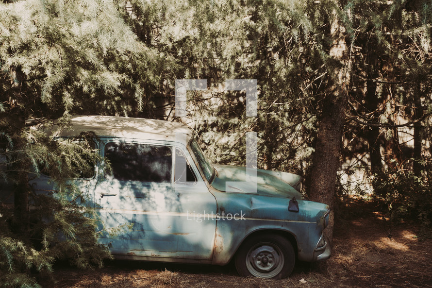 abandoned car in the woods 