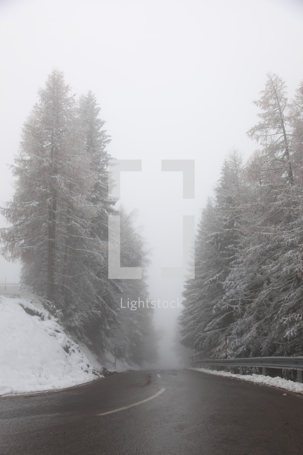 fog, snow, road, outdoors, trees, winter 