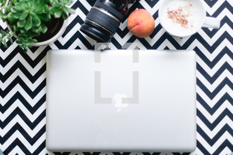 laptop, camera, succulent plant, peach, mug