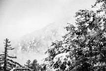 winter mountain scene 